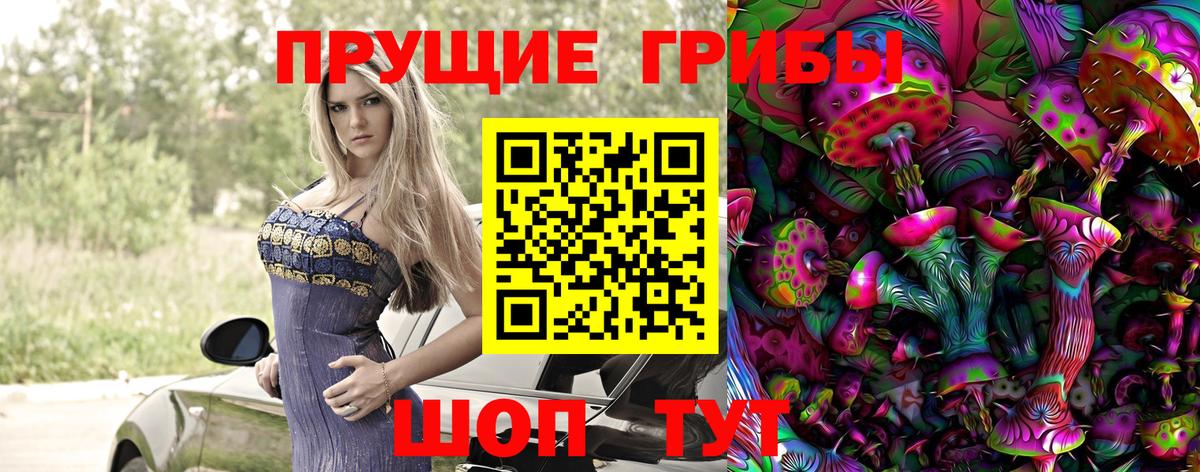 Галлюциногенные грибы прущие грибы  Псилоцибиновые грибы Psilocybine cubensis  Вход с VPN  Зерноград 