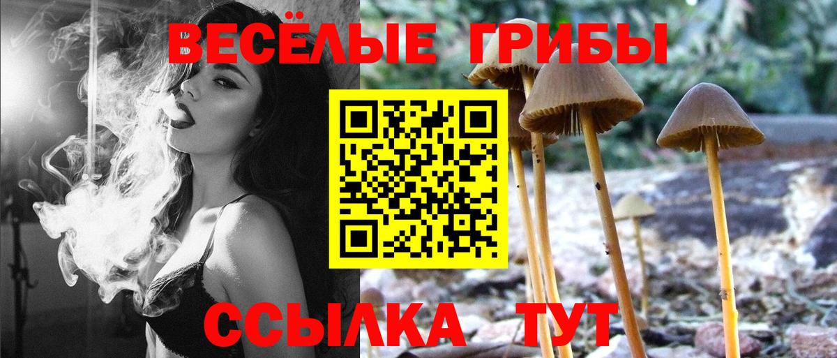 Псилоцибиновые грибы GOLDEN TEACHER Зерноград